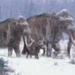 read the dna of the mammoth 2259