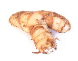 rhizomes galangal