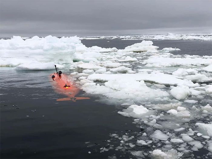 Antarctic Seafloor Exploration Robot