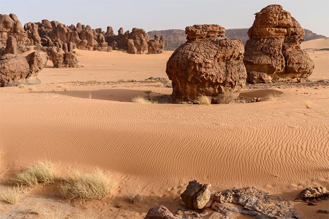 Not only rocks, scientists have also found many different fossils in the Sahara Desert.