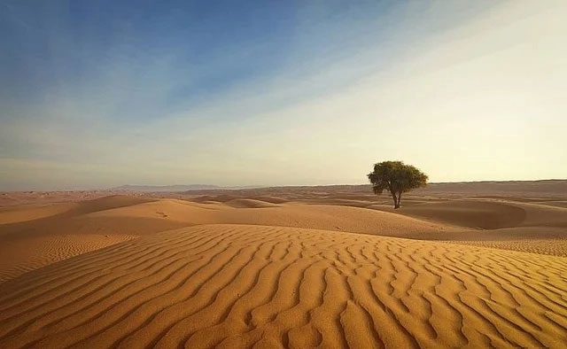 Deserts are common terrain types in China.