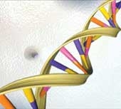 school of thought small genetic mutation 2634