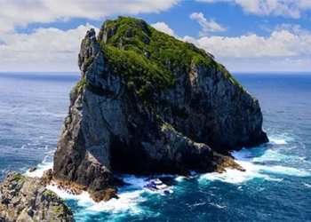 sea water temperature around new zealand highest since 1982 135440