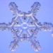 snowflakes 3209