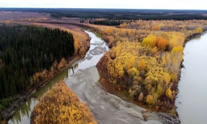 Drone captures the Yukon River and downstream area from Beaver, Alaska.