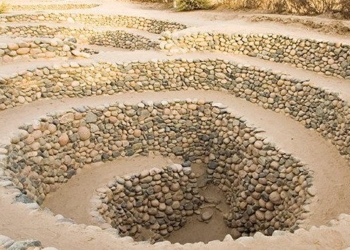 strange snails on sand in peru 72211