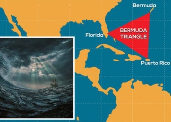 strange things are still happening in the bermuda triangle 124400