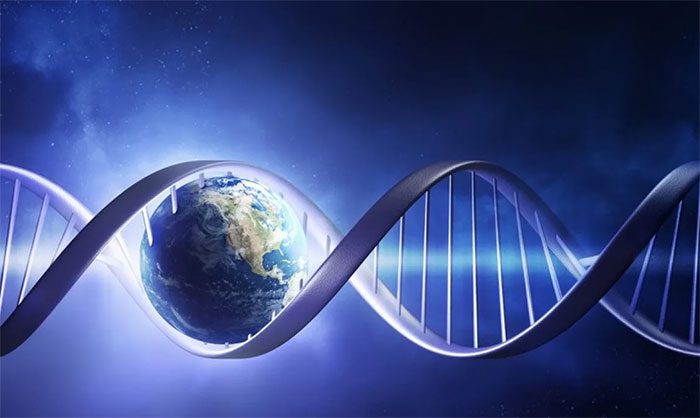 The origins of life on Earth remain a challenging question with no precise answer yet