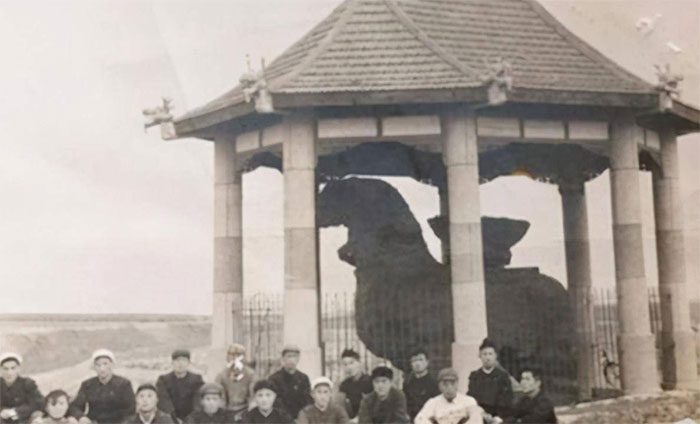 Constructing a pavilion to prevent rainwater from eroding this lion statue.