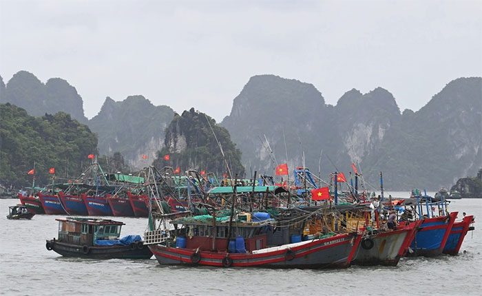 Hải Phòng and Quảng Ninh ban sea restrictions from 12 PM on July 22 to respond to Typhoon No. 2