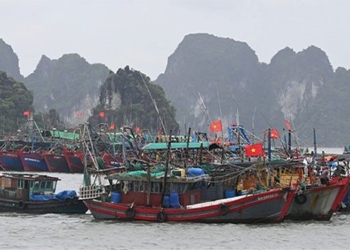 the 2nd storm prapiroon to hit quang ninh hai phong bringing heavy rain on wide area 135678