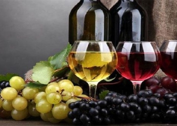 the alcohol content of all types of wine in vietnam 104288