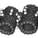 the future of nano technology 2724