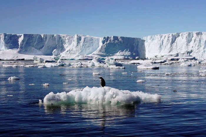 The ecosystem beneath Antarctica is still under significant pressure.