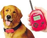 the ignobel prizes related to dogs 3123