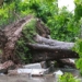 the initial damages caused by storm 2 in quang ninh hai phong 135698