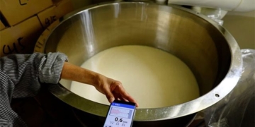the only sake brewery in tokyo for music drinks 135744