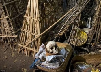 the only village in the world to cremate dead bodies in bamboo trees for self disposal 80333