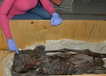 the secret behind the mummies of ancient egypt is 135927