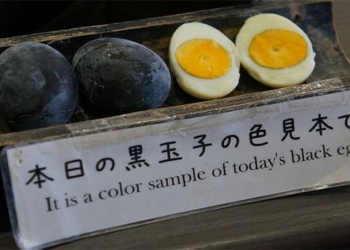 the strange black egg of the japanese everyone dreams of eating it once 98666