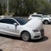 the truth behind these pregnant cars being spread in china 136145