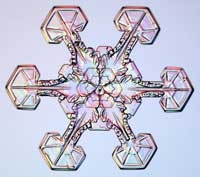 there are no two snowflakes alike 2872