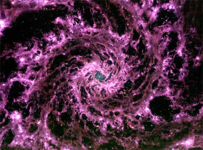 Purple spiral galaxy captured by the James Webb Telescope