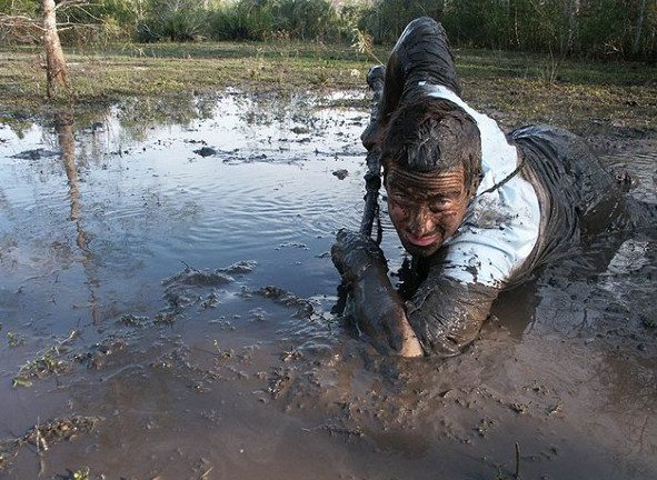 Great Tips to Help You Escape from a Swamp