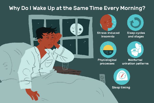 Our sleep typically goes through various stages.