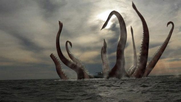 The Kraken