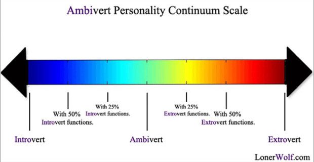 Most of us have both introverted and extroverted aspects.