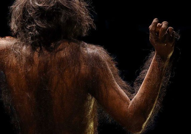 Human ancestors had a layer of body hair for protection