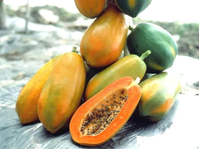 Papaya fruit has many beauty and health benefits