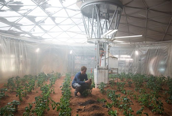 Matt Damon growing potatoes in The Martian.