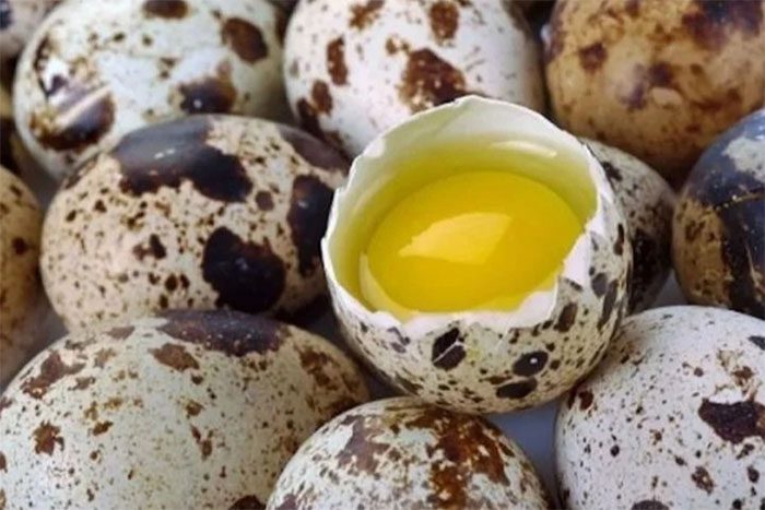 Quail eggs