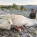 two young men catch giant 3m catfish on river 135917