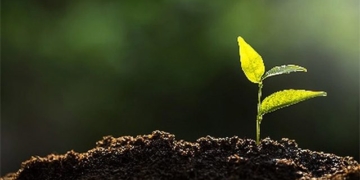 type of soil to improve crop yield 138 but needs very little water 135781