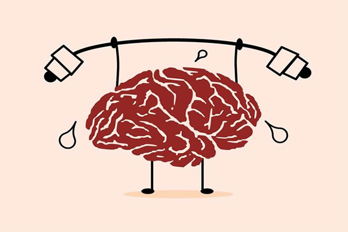 The brain accounts for only 2% of body weight but consumes 20% of its energy.