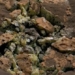 vapor cube on mars nasa robot detects motion 135669