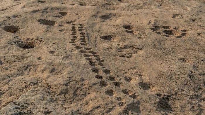 A long row of depressions on the rock at Al Jassasiya.