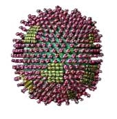 vi rut h5n1 has developed resistance to tamiflu 2345