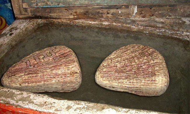 They look like ordinary stones but float when placed in water.