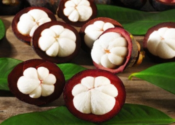 vietnam proudly possesses 3 of the 10 rarest fruits in the world 91204