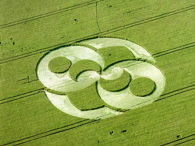 Mysterious circles in the fields