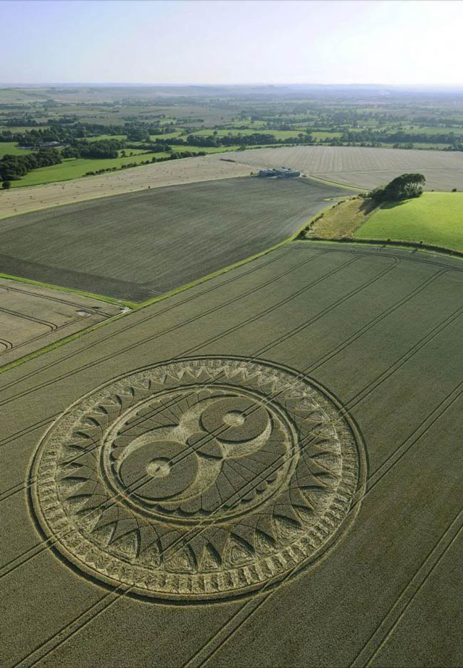 Mysterious circles in the fields