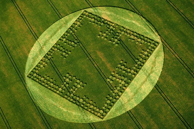 Mysterious circles in the fields