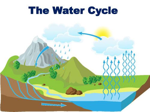 The water cycle on Earth.