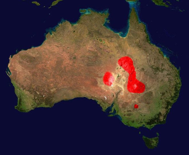 Habitat of the Inland Taipan (in red).