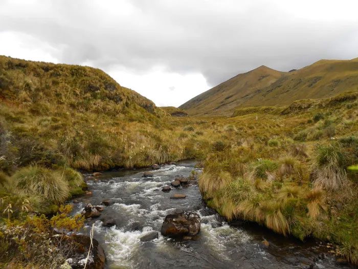 A picturesque scene in Llanganates National Park, Ecuador.