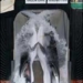 whale meat for dog food 3398
